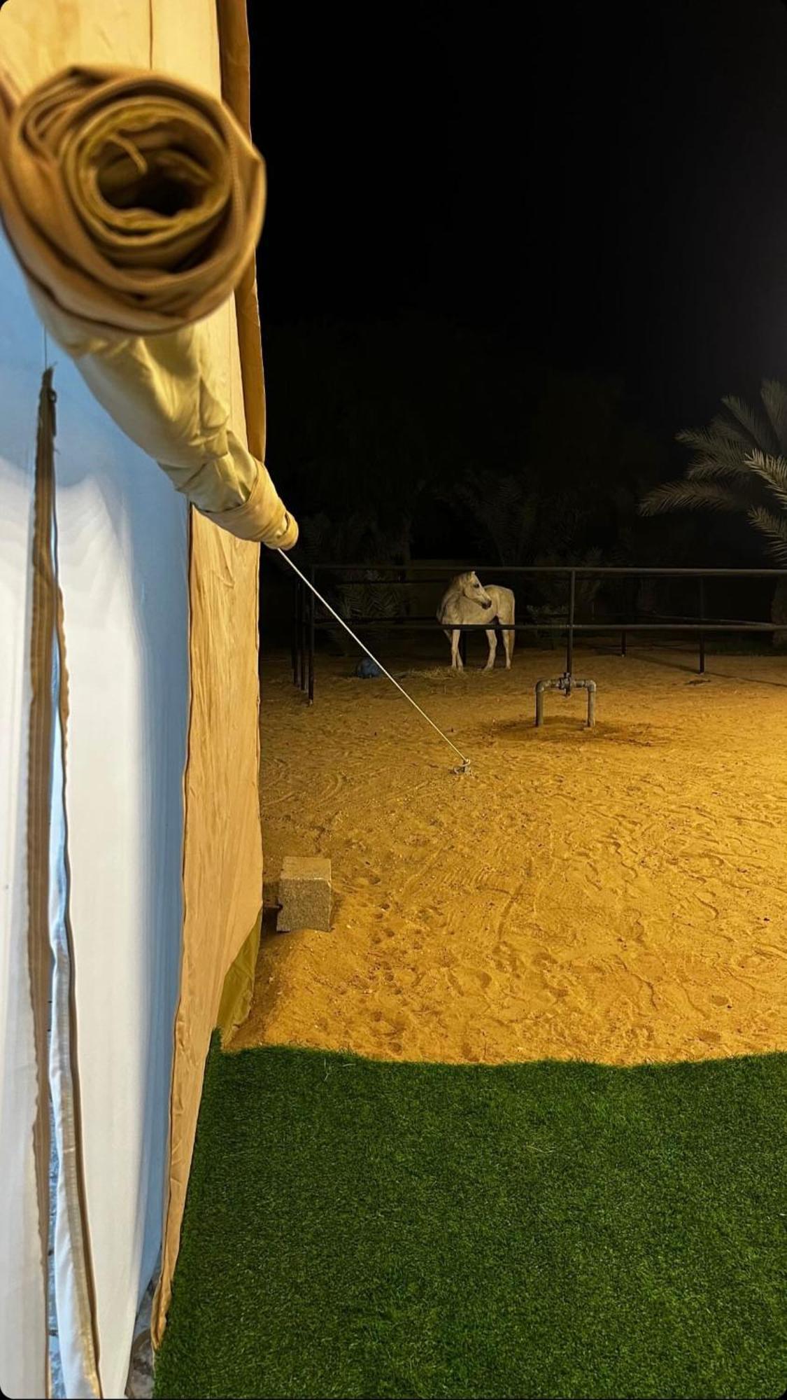 Campsite استراحة واحة الختم *